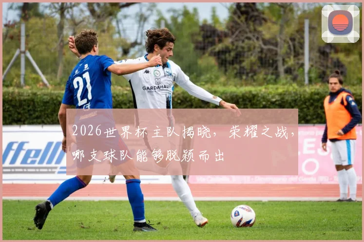 2026世界杯主队揭晓，荣耀之战，哪支球队能够脱颖而出
