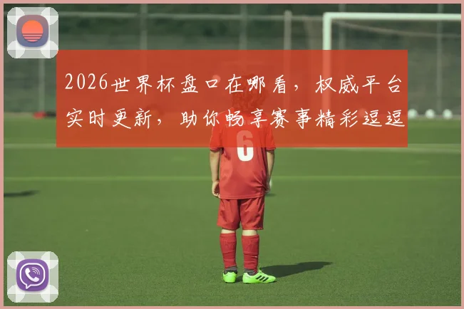 2026世界杯盘口在哪看，权威平台实时更新，助你畅享赛事精彩逗逗逗