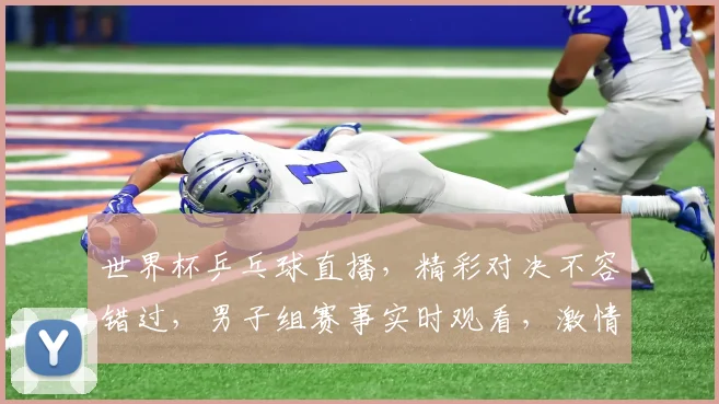 世界杯乒乓球直播，精彩对决不容错过，男子组赛事实时观看，激情四溢