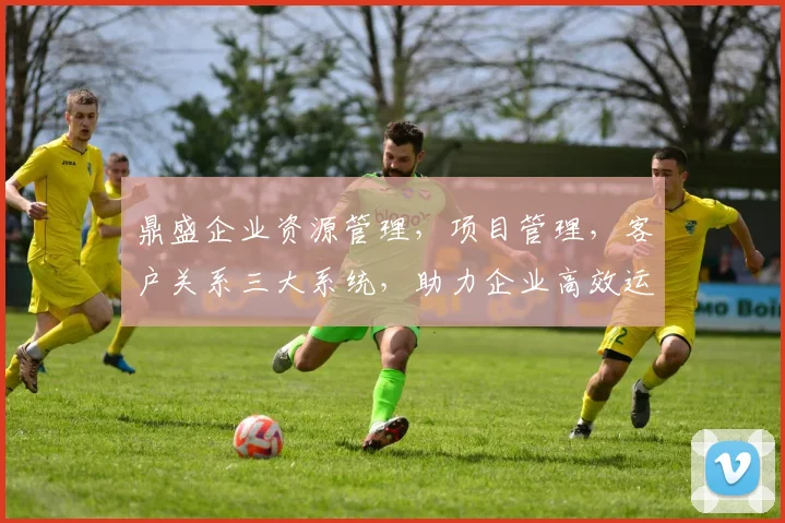 鼎盛企业资源管理，项目管理，客户关系三大系统，助力企业高效运营，提升竞争力